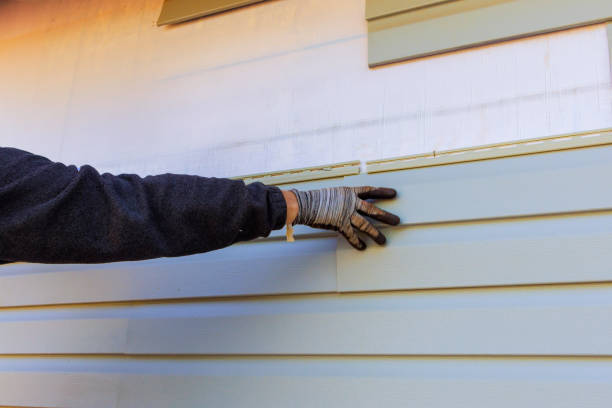 Professional Siding Installation & Repair in Trinity, TX